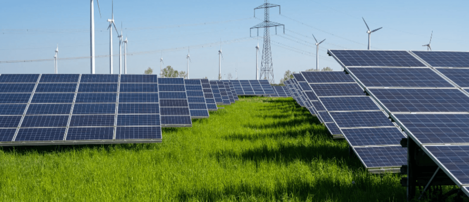 découvrez comment l'investissement dans des panneaux solaires peut réduire vos factures d'énergie tout en contribuant à la protection de l'environnement. explorez les avantages financiers et écologiques de cette solution durable et rentable.