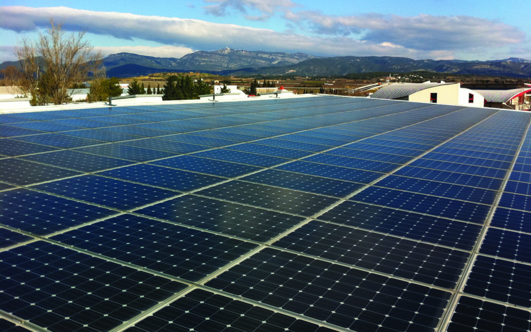 découvrez l'impact photovoltaïque sur l'environnement et l'économie. apprenez comment l'énergie solaire contribue à la durabilité, réduit les émissions de co2 et transforme le paysage énergétique mondial.