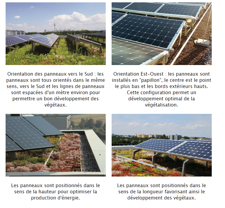 découvrez comment optimiser votre installation photovoltaïque au sol pour maximiser votre production d'énergie, réduire vos coûts et contribuer à une planète plus verte. suivez nos conseils pratiques et techniques pour tirer le meilleur parti de vos panneaux solaires.