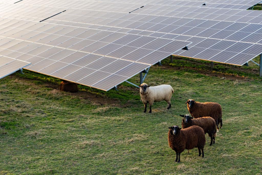 installation-photovoltaique-agricoles-2 Guide d'installation d'une solution photovoltaïque pour bâtiments agricoles