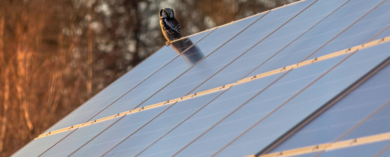 investissement-panneaux-solaires-1 Aide Occitanie : maximisez votre investissement dans les panneaux solaires