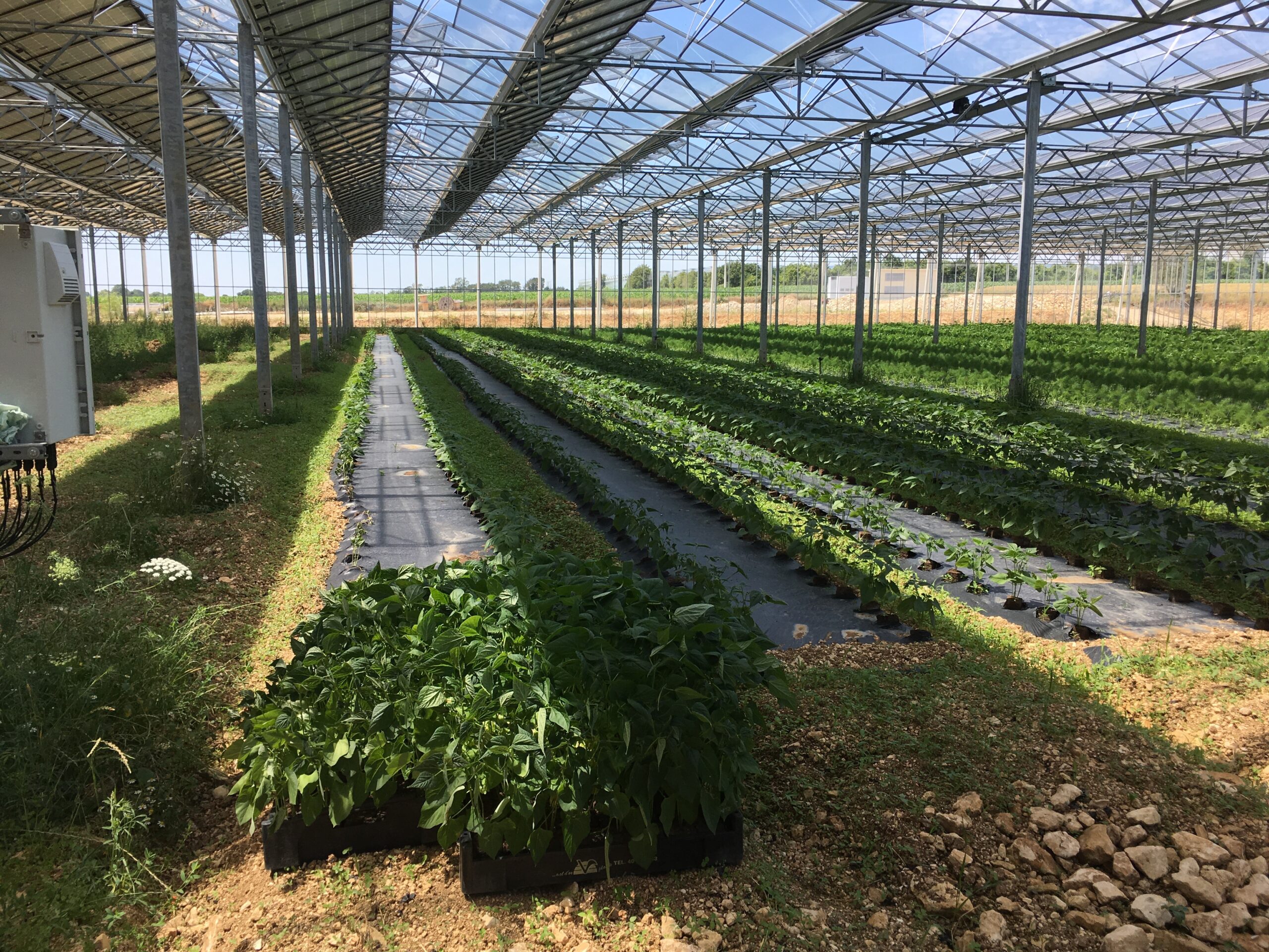 agriculture-photovoltaique-3 Photovoltaïque et agriculture : une synergie possible