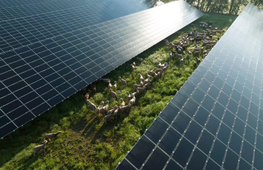 plan-communication-projet-solaire-3 Comment élaborer un plan de communication pour un projet solaire